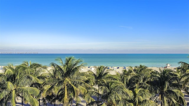 property view of water with a beach view