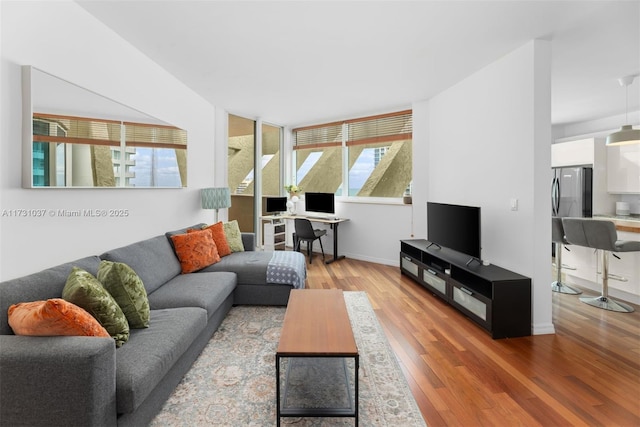 living room featuring hardwood / wood-style flooring