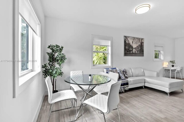 dining room with light hardwood / wood-style flooring and a wealth of natural light