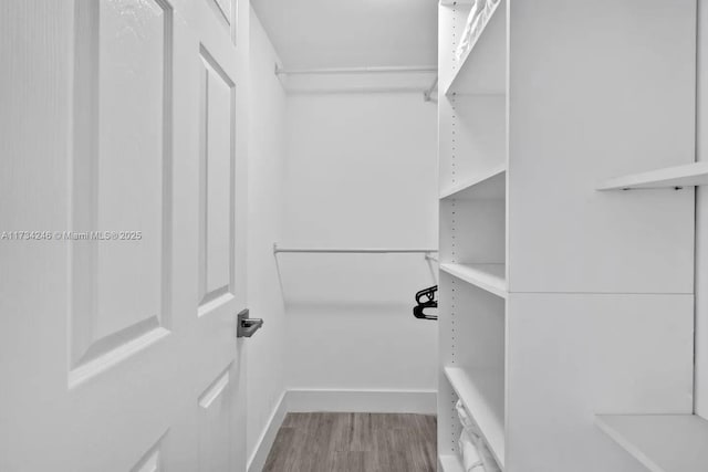 walk in closet with light wood-type flooring