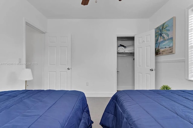 bedroom featuring a walk in closet, a closet, and ceiling fan