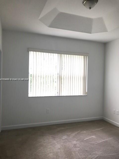 carpeted spare room featuring a raised ceiling and a wealth of natural light