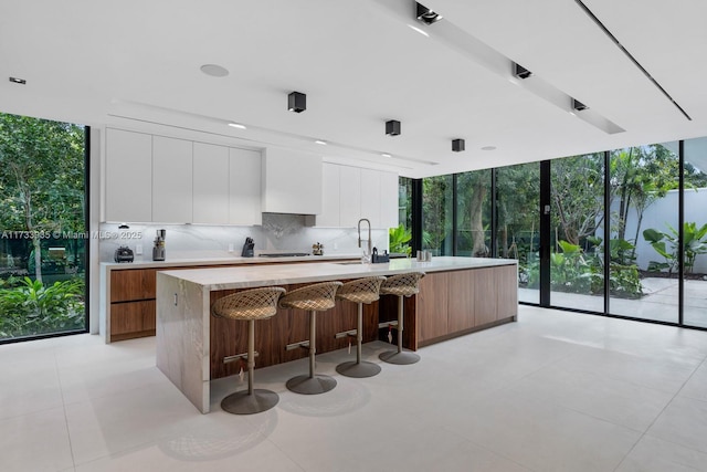 kitchen with a large island with sink, white cabinetry, expansive windows, and decorative backsplash