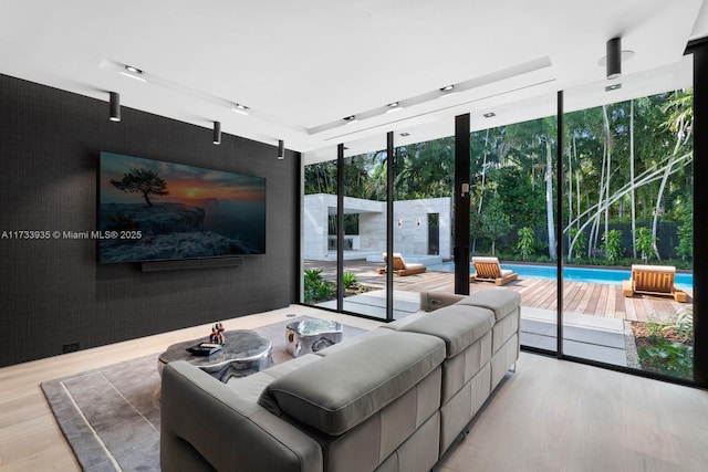 cinema room with light wood-type flooring and a wealth of natural light