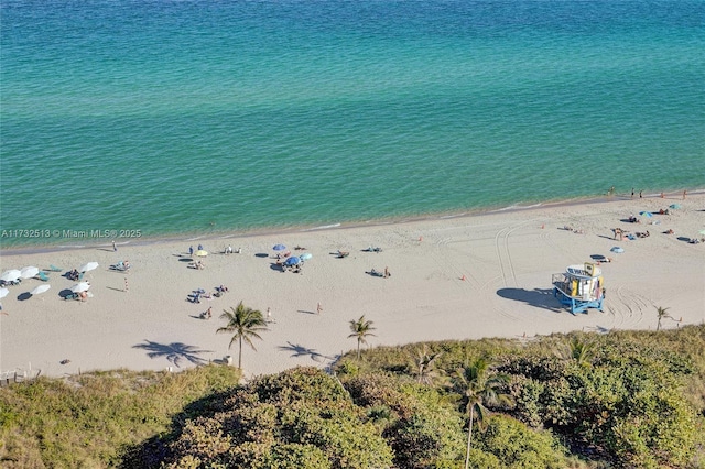 property view of water featuring a beach view