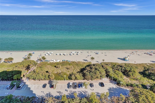 view of water feature featuring a view of the beach