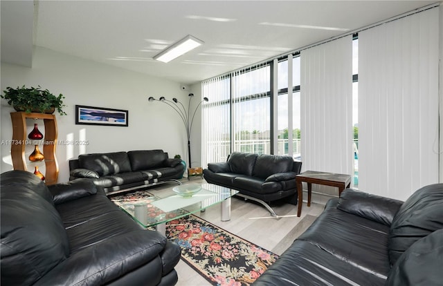 living room with hardwood / wood-style flooring