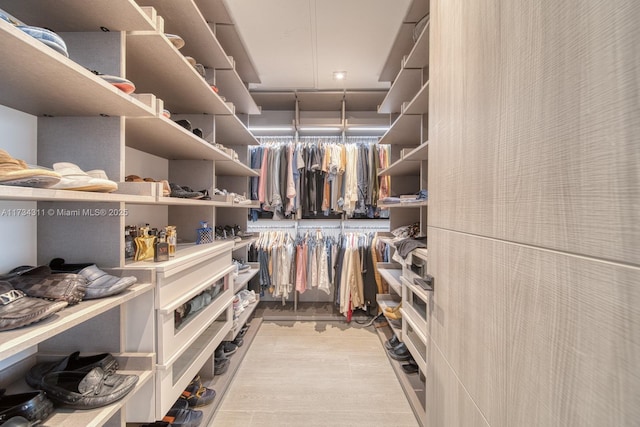 view of walk in closet