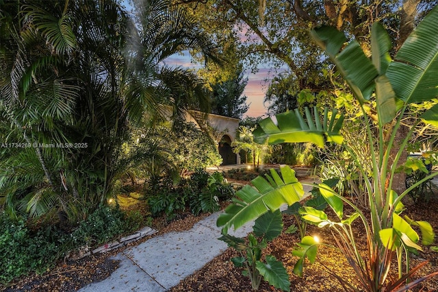203 NE 90th St, El Portal, FL 33138 - photo 13