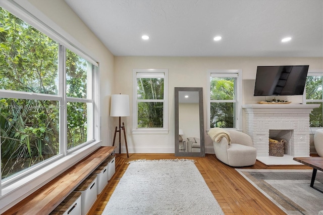 interior space featuring a fireplace and light hardwood / wood-style floors