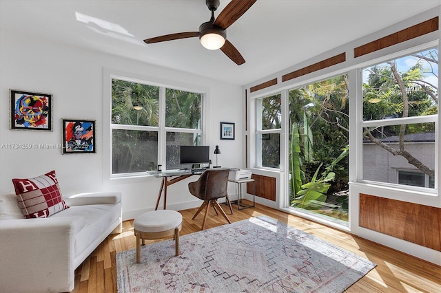 office featuring a wealth of natural light, ceiling fan, and light hardwood / wood-style flooring