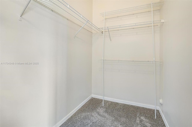 spacious closet with carpet