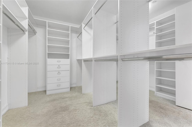 spacious closet featuring light carpet