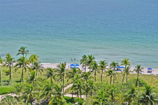 view of water feature featuring a view of the beach