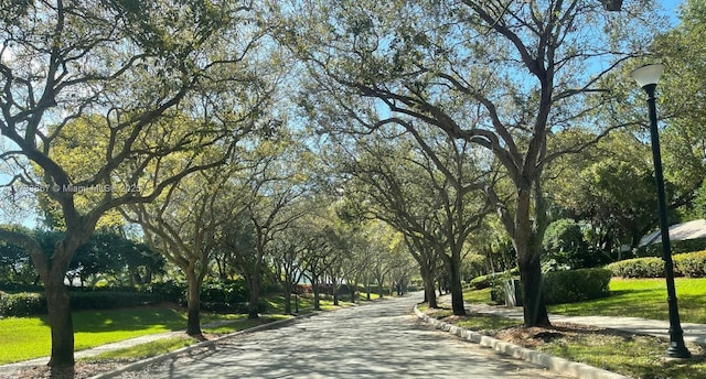 view of community featuring driveway