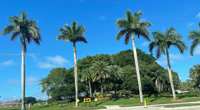 view of property's community with a lawn