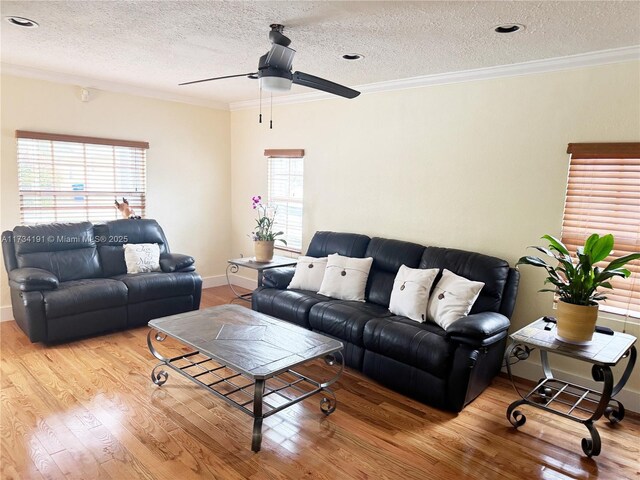 living room with hardwood / wood-style flooring, crown molding, a healthy amount of sunlight, and a textured ceiling