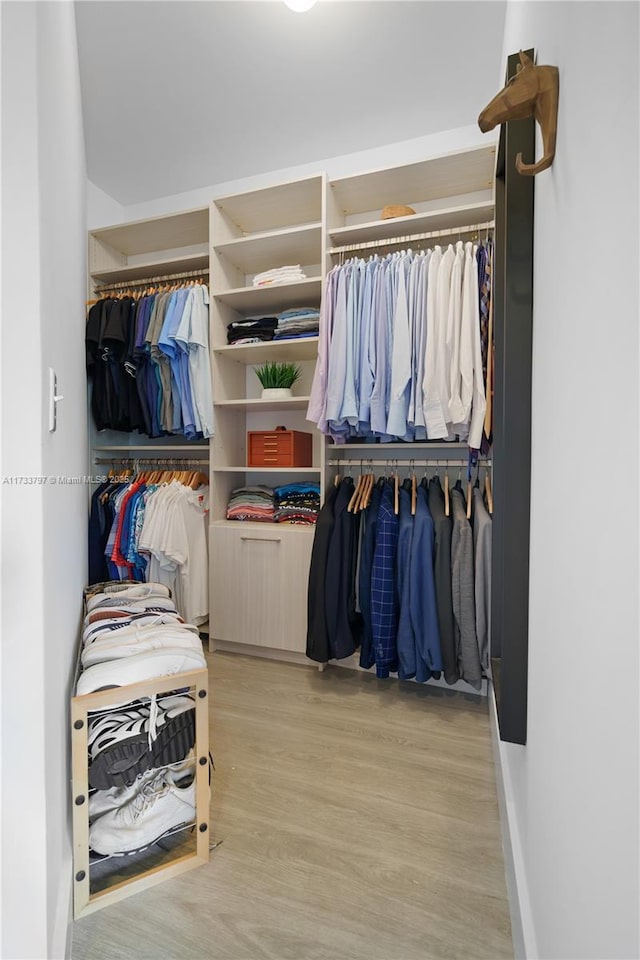 spacious closet featuring light wood-type flooring