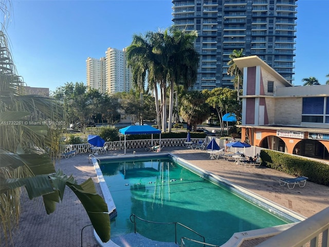 view of swimming pool featuring a patio