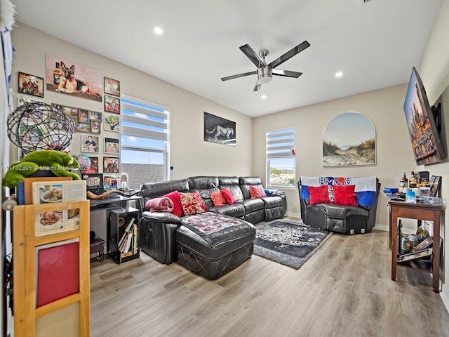 living room with ceiling fan and light hardwood / wood-style flooring