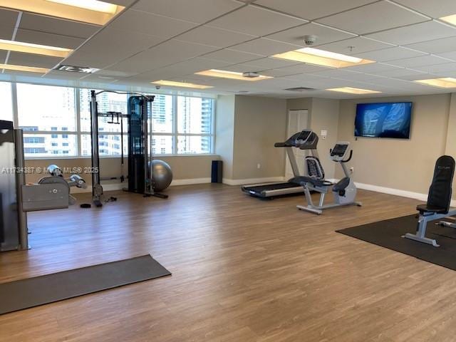 workout area with a drop ceiling and hardwood / wood-style flooring