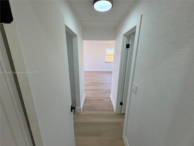 hall with light hardwood / wood-style floors