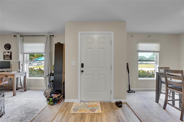 carpeted foyer entrance with plenty of natural light