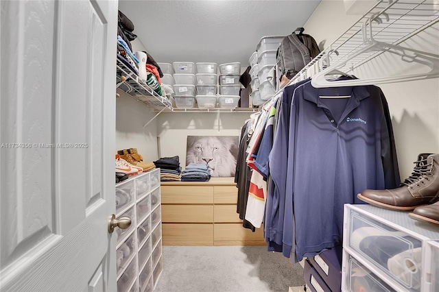 walk in closet with light carpet