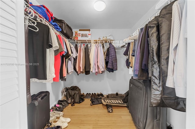 spacious closet with hardwood / wood-style flooring