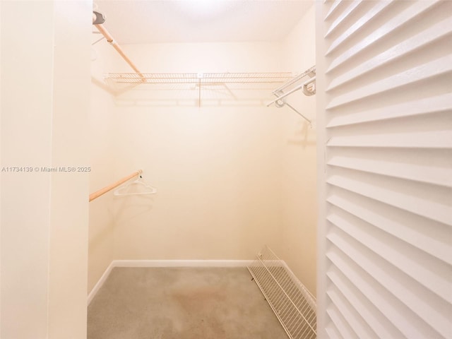 walk in closet featuring carpet flooring