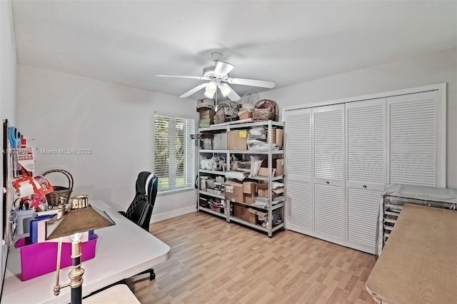 office space with light hardwood / wood-style flooring and ceiling fan