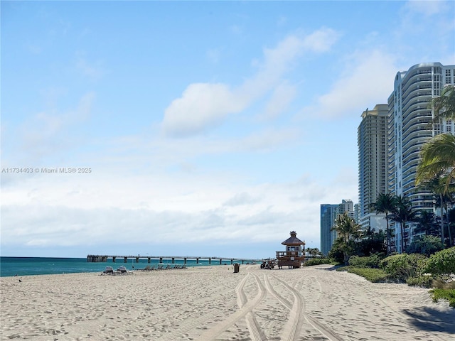 water view featuring a beach view