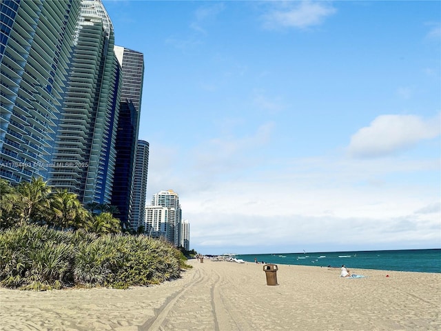 water view featuring a view of the beach