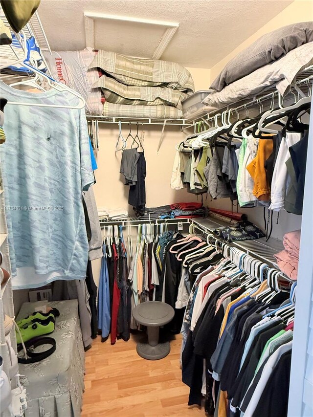 spacious closet with wood-type flooring