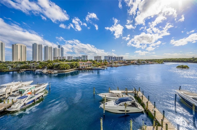 water view with a dock