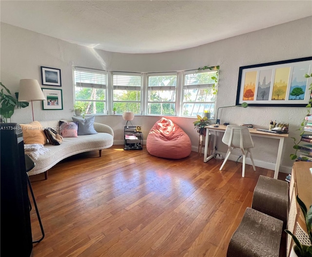 living room featuring hardwood / wood-style floors