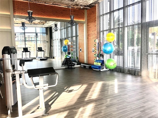 workout area with a wall of windows, wood-type flooring, and a high ceiling