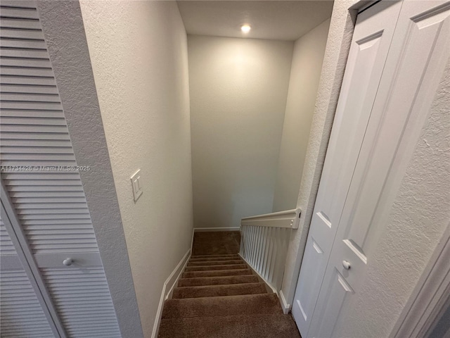 staircase featuring carpet floors