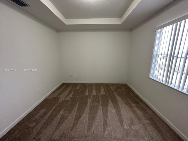 carpeted spare room with a raised ceiling and a healthy amount of sunlight