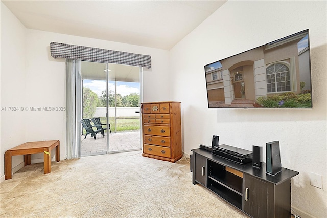 interior space with light colored carpet