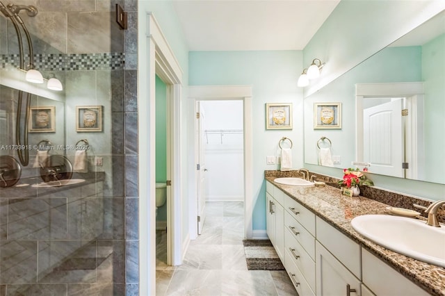 bathroom featuring a stall shower, a walk in closet, a sink, and double vanity