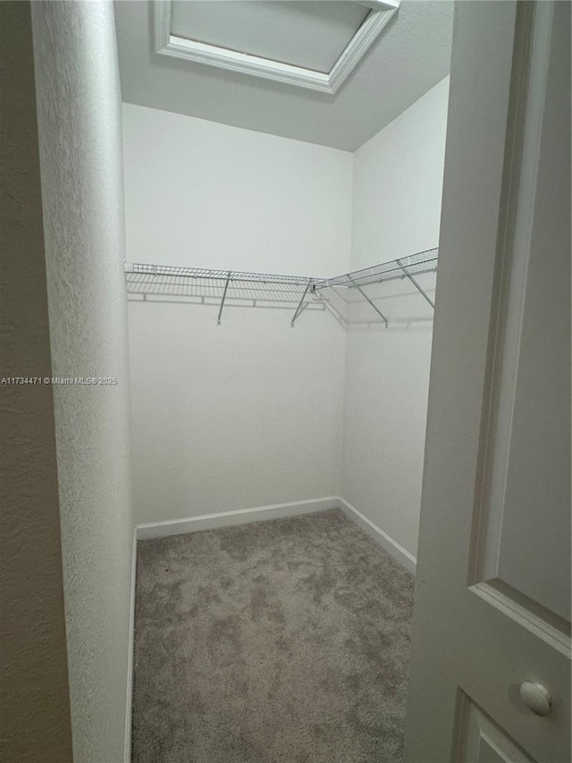 spacious closet with carpet floors