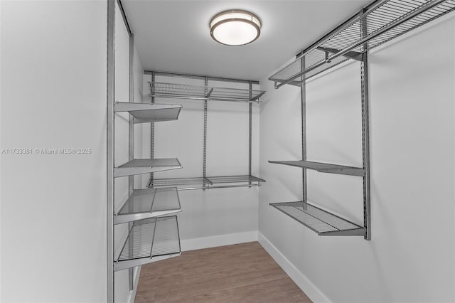 455 NE 25th St Unit 509, Miami, FL 33137 - walk in closet with wood finished floors