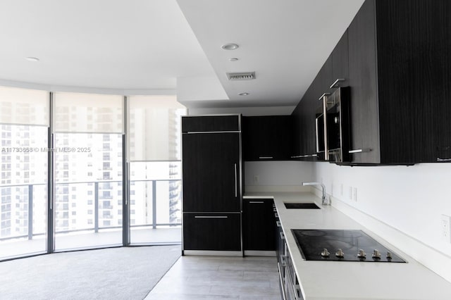 kitchen featuring floor to ceiling windows, sink, paneled built in refrigerator, black electric cooktop, and light colored carpet