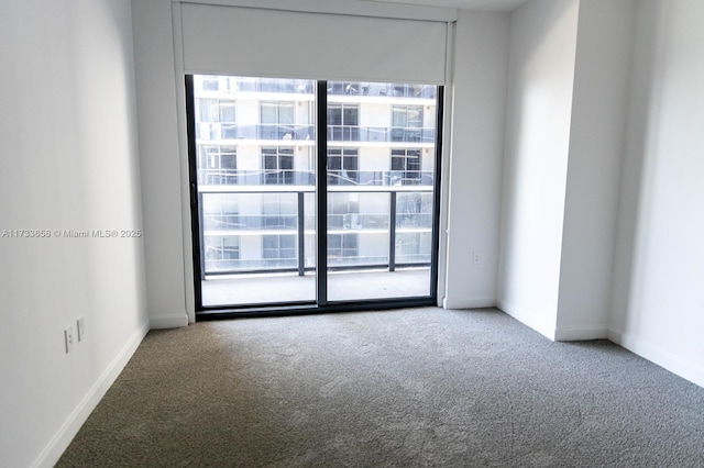 unfurnished room featuring carpet and a healthy amount of sunlight