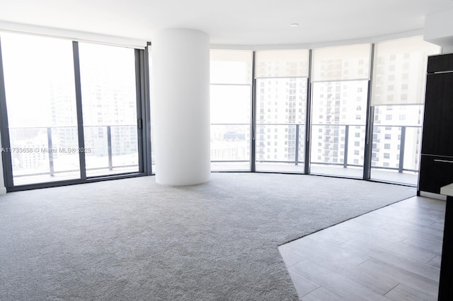 carpeted empty room featuring floor to ceiling windows and plenty of natural light