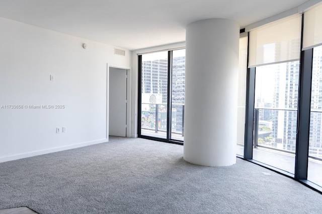 carpeted spare room with expansive windows