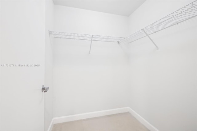 view of spacious closet
