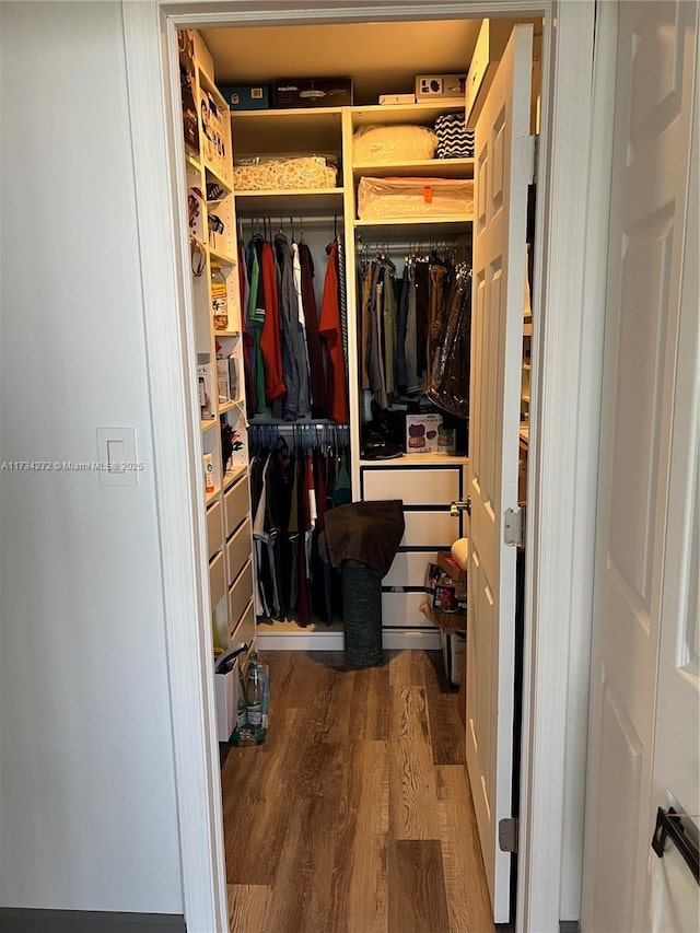 walk in closet with wood-type flooring