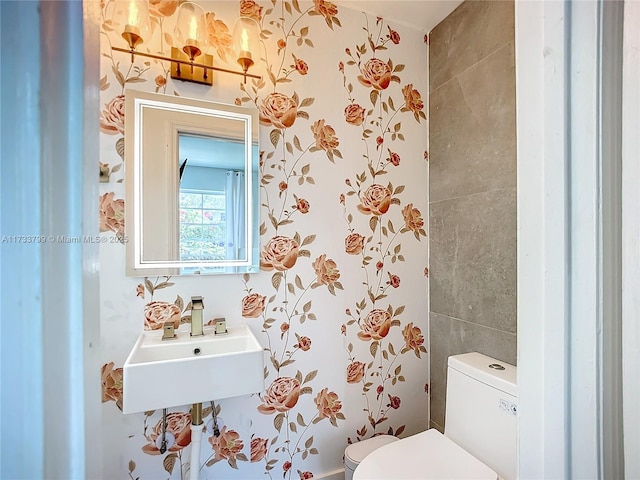 bathroom with sink and toilet